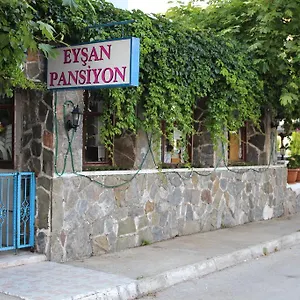 Eysan Akçay